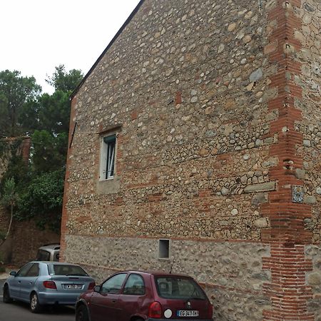 Maison Familiale Centenaire De Vigneron Montescot المظهر الخارجي الصورة